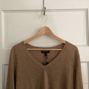 Banana Republic Merino Wool V-Neck Sweater